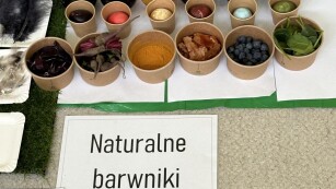 Wplastikowych pojemniczkach naturalne barwniki do jajek a w słoiczkach uzyskane kolory